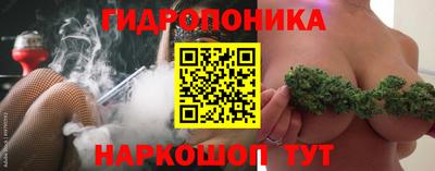 spice Канаш