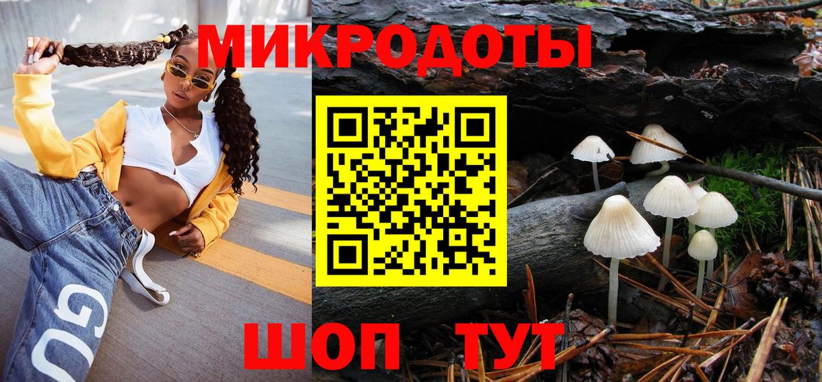 Псилоцибиновые грибы Cubensis Благовещенск