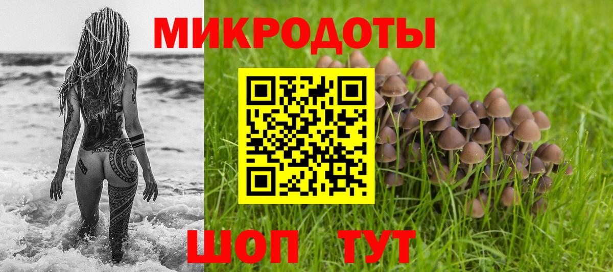 Псилоцибиновые грибы GOLDEN TEACHER  Вход с VPN  Благовещенск 